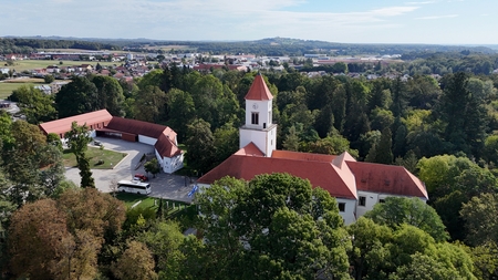 Obnova drevesnega fonda v ormoškem parku