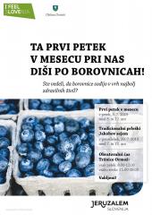 65276712_10217495515794087_2251667764915732480_n